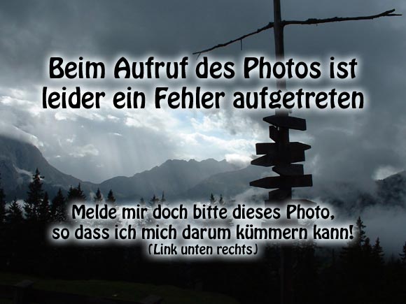 Gottesacker vom Ifen Gipfel Gottesacker vom Ifen Gipfel